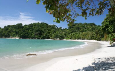 The Best Costa Rican Scenery with Tripps Plus Reviews